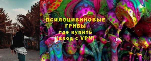 хмурый Сатка